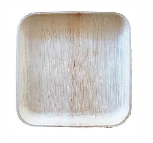 10 Inch Plate