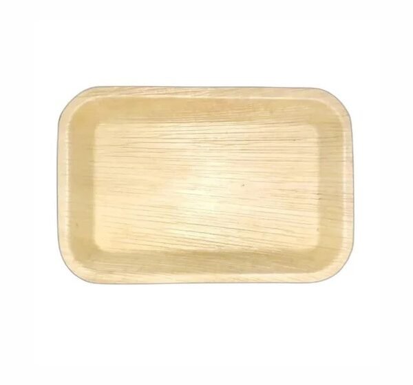 9 Inch Rectangle Plate